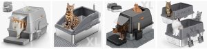 Right Litter Box Matters