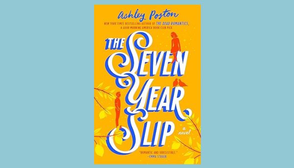 Booktok books : The Seven Year Slip